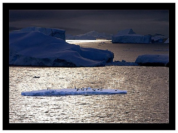 Click image for larger version

Name:	Antarctica_08.JPG
Views:	140
Size:	91.4 KB
ID:	34548