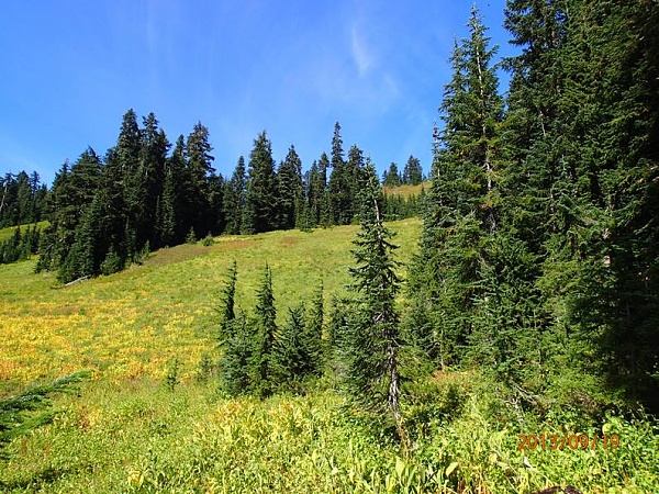 Click image for larger version

Name:	Meadow approach small.JPG
Views:	198
Size:	155.3 KB
ID:	22927