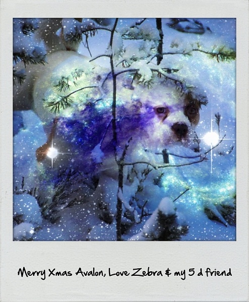 Click image for larger version

Name:	image.jpg
Views:	499
Size:	191.5 KB
ID:	19741
