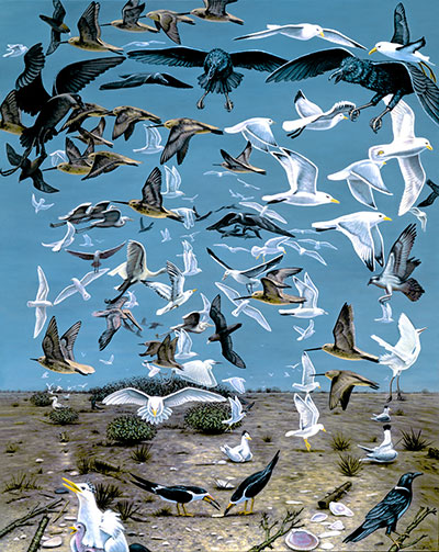 Name:  Hitchcock -doug.jpg
Views: 238
Size:  90.6 KB