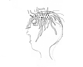 Name:  hairs.png
Views: 195
Size:  8.6 KB