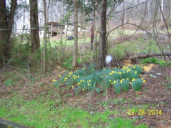Click image for larger version

Name:	100_3131.jpg
Views:	871
Size:	3.14 MB
ID:	30907