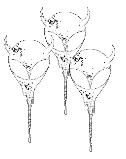 Name:  band-alien-head.gif
Views: 1593
Size:  9.4 KB