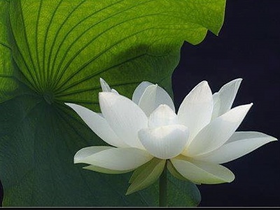 Name:  929DC9F4-A163-46B8-826D-C41AE273C8F9.jpeg
Views: 336
Size:  51.6 KB