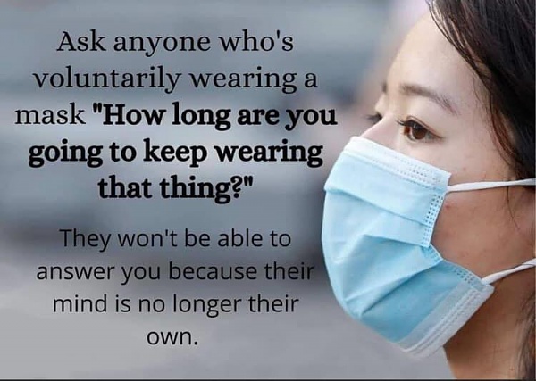 Click image for larger version

Name:	107986387_10223825906144006_5893911745852522510_n.jpg
Views:	90
Size:	37.7 KB
ID:	43902