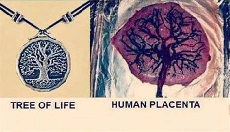 Name:  th.jpeg
Views: 320
Size:  28.5 KB