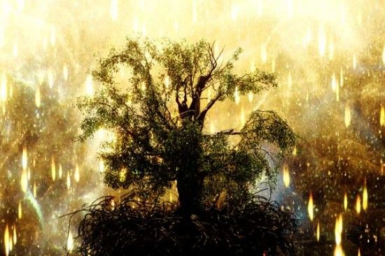 Name:  c60a097c7a67ba883fcf48debd42dfda.jpeg
Views: 309
Size:  48.1 KB