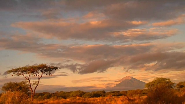 Click image for larger version

Name:	maxresdefault.jpeg
Views:	102
Size:	57.5 KB
ID:	47290