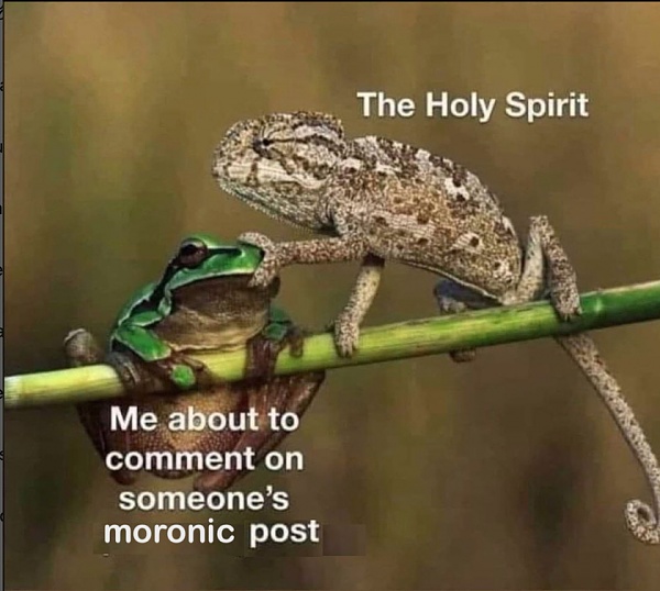 Click image for larger version

Name:	16b388b58dffd0b8.jpeg
Views:	93
Size:	382.3 KB
ID:	50393