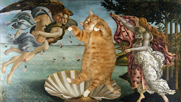 Click image for larger version

Name:	cat creator venus 4.jpg
Views:	30
Size:	94.6 KB
ID:	52200