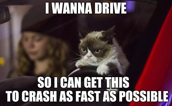 Click image for larger version

Name:	grumpy cat crash2.jpg
Views:	29
Size:	48.5 KB
ID:	52309