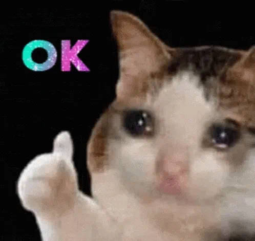 Name:  cat-ok.jpg
Views: 122
Size:  28.0 KB