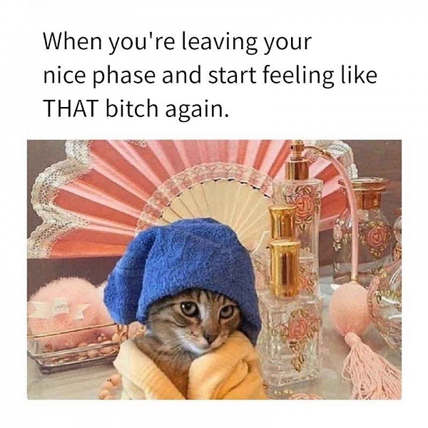 Click image for larger version

Name:	cat nice phase feel like bitch.jpg
Views:	18
Size:	68.6 KB
ID:	52620