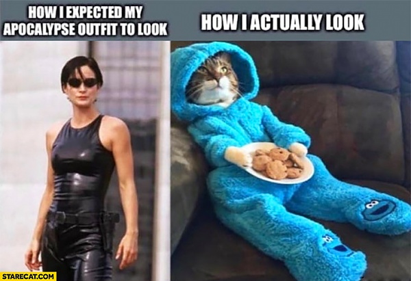 Click image for larger version

Name:	cat matrix cookies.jpg
Views:	43
Size:	84.3 KB
ID:	52831