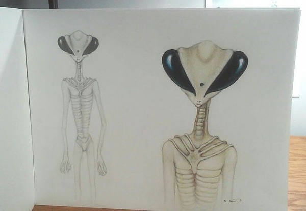 Click image for larger version

Name:	MANTIS DRAWING 2.jpg
Views:	14
Size:	27.4 KB
ID:	53599