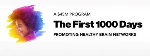 Name:  The-First-1000-Days-800x303.jpg
Views: 336
Size:  13.1 KB