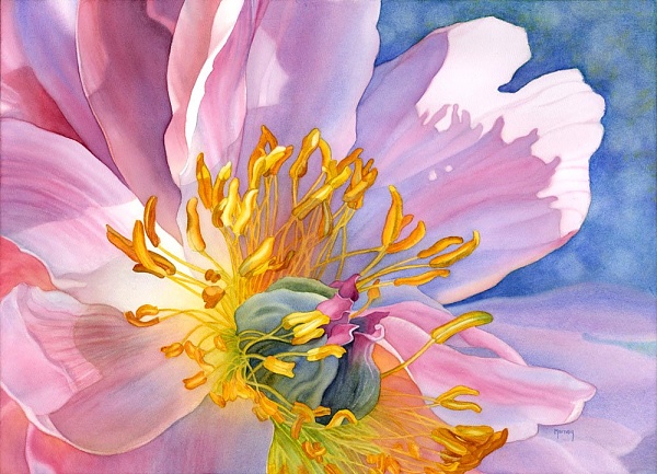 Click image for larger version

Name:	light filled peony Marney Ward.jpeg
Views:	36
Size:	157.3 KB
ID:	49201