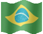 Brazilian