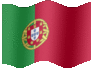 Portuguese